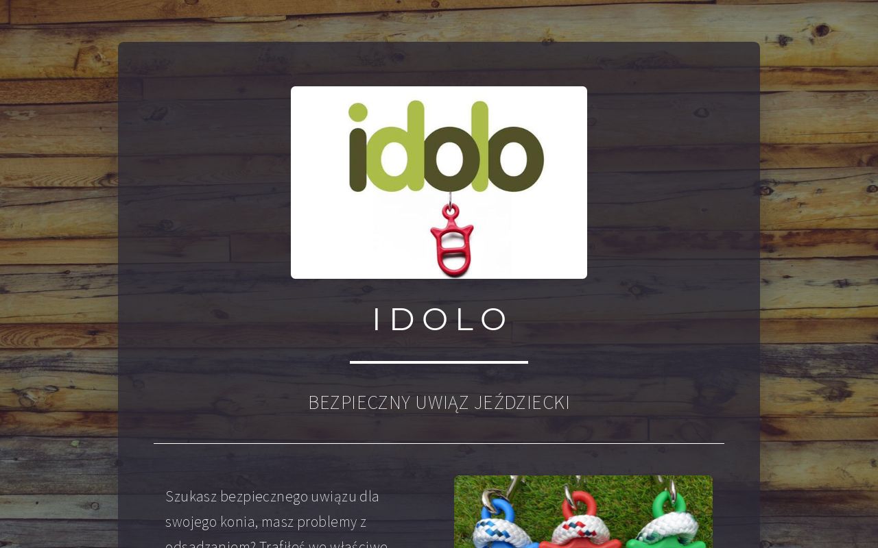 Carrd profile picture for @idolo